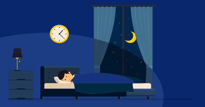 The Sleep Cycle and our Health