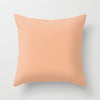 Ultra-Premium Cushion Cover